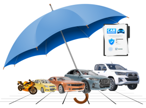 Specialist Insurance